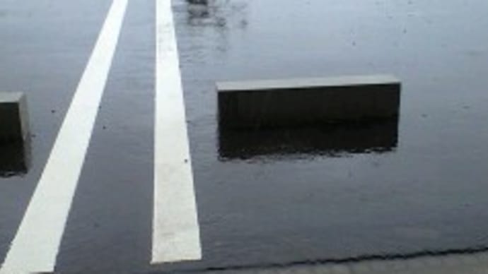 雨天中止(+_+)