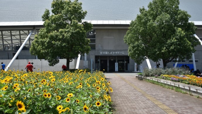 ひまわり狩り 埼玉県熊谷市 熊谷スポーツ文化公園 セラピーガーデン(1)彩の国くまがやドーム