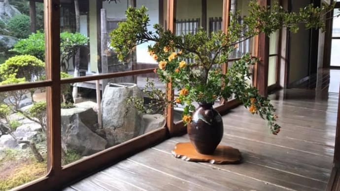 第20回 お茶席