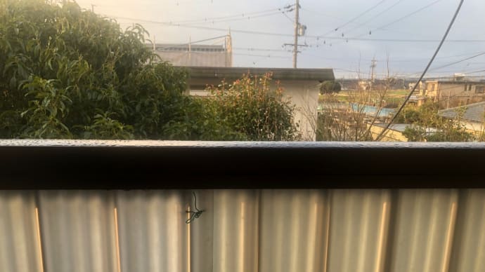 一雨きたか？金曜日