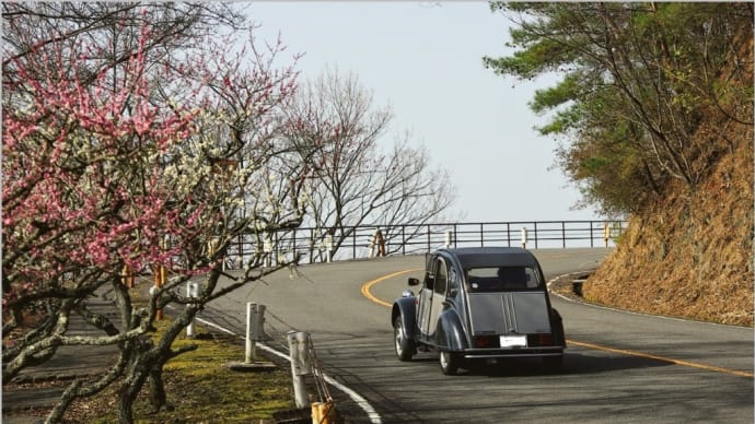 陽のあたる坂道