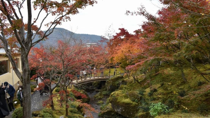 もみじ狩り 神奈川県足柄下郡箱根町 箱根・強羅(5)箱根美術館:竹林、荻の道