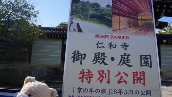 「第56回 京の冬の旅」。雅な御殿と名勝の庭園を拝見。見どころいっぱいの特別公開