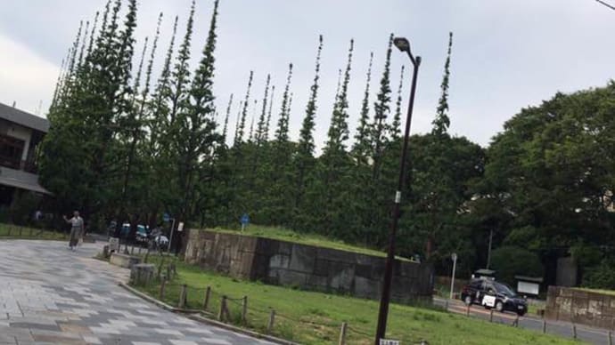 そろそろ…堂河内良二です