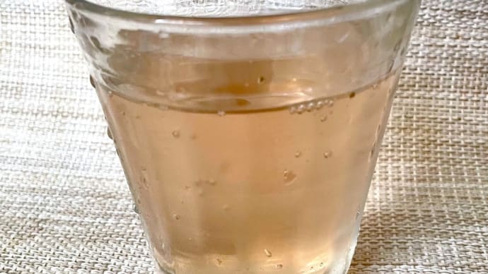 暑気払いの美味しいドリンク作りました