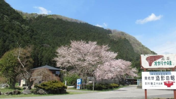 '24.04.13 ドローンで里の桜を撮影