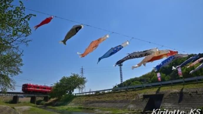 力強く泳ぐ鯉のぼり