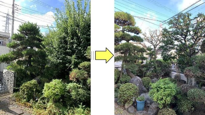 庭木の枝や草が伸び放題となったお庭が蘇る