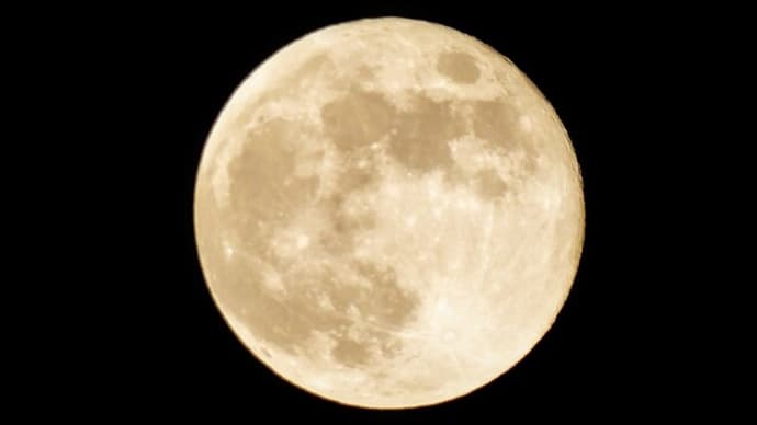 オオカミも思わず　独り言　ウワォーーー　特別な満月だよ＾＾満月
