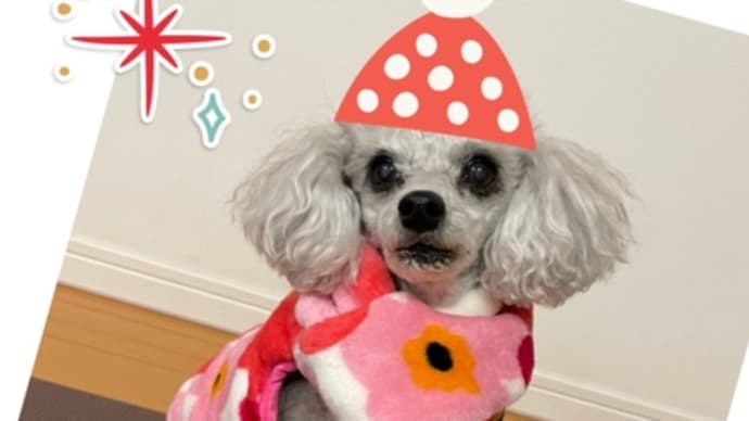 オーダーのお客様から素敵なお写真のご紹介 NO.3