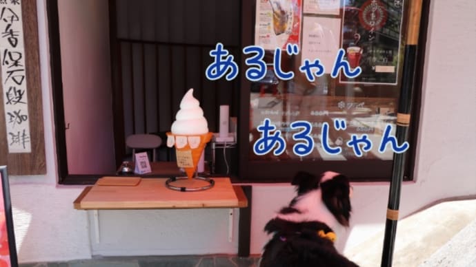チェスターがお願いすること