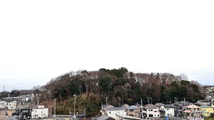 01月15日 いつ雨が降ったんだろう。