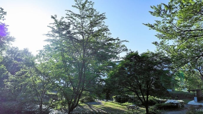高津屋森林公園上空からの風景&長野県林業コンサルタント協会理事会