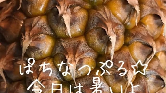 ぱいなつぷる☆