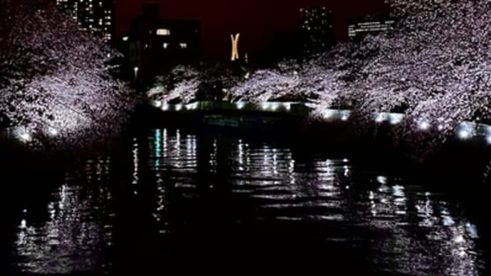 桜の森の満開の下