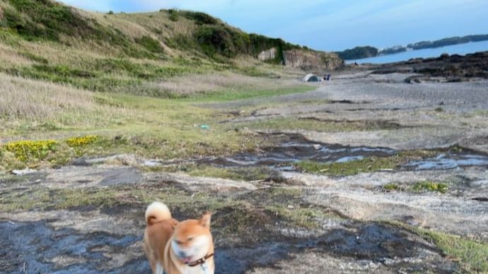 GW穴場のキャンプ地「黒崎の鼻」の様子は?