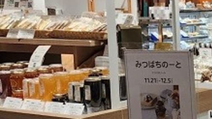 【2024年11月21日から12月5日まで】 みつばちのーと