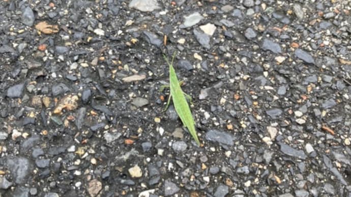 更年期抜けた