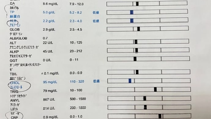 蛋白漏出性腸症