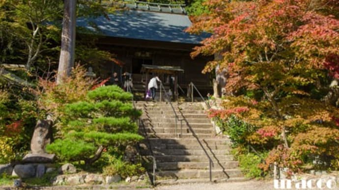 紅葉チェック2024..丹波篠山もみじ三山・大国寺(1)