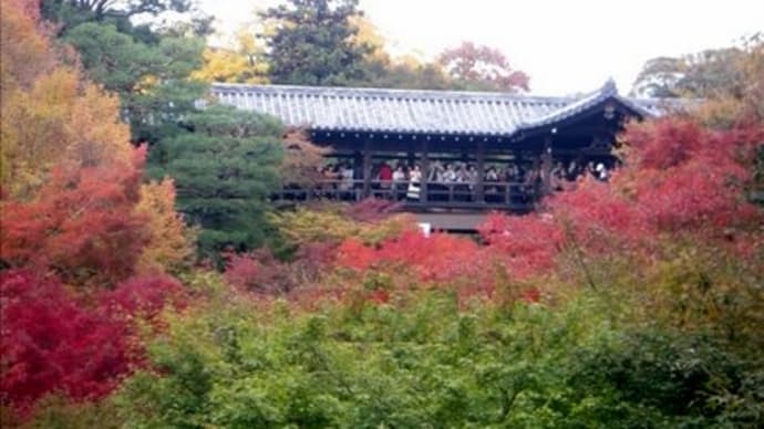 退職旅　京都瓢亭（ひょうてい）朝がゆを求めて　秋の都　ぶら～り