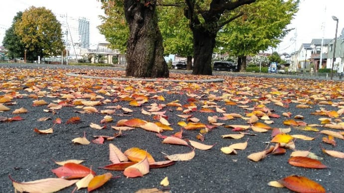 落ち葉