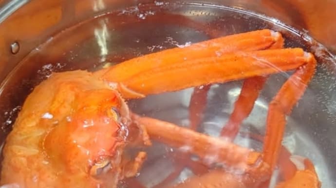 紅ズワイガニ2杯で850円は買うでしょ。
