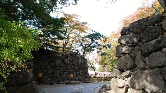 #4867 小諸城址懐古園①('15 信州秋)