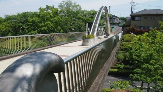 a bridge