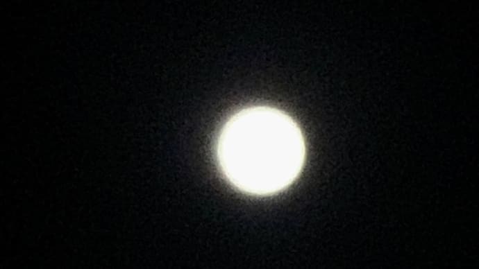 先日の土曜日は満月🌕でした♪載せ忘れてました(~￣▽￣)~
