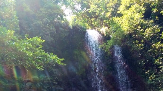 沖縄 ター滝