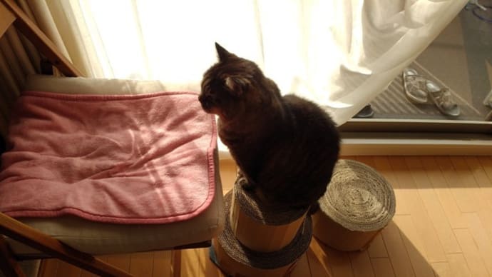 もったいぶってる