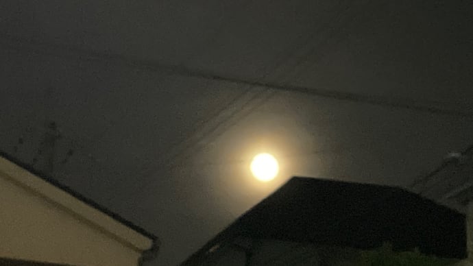 きのうのおつきさん💫