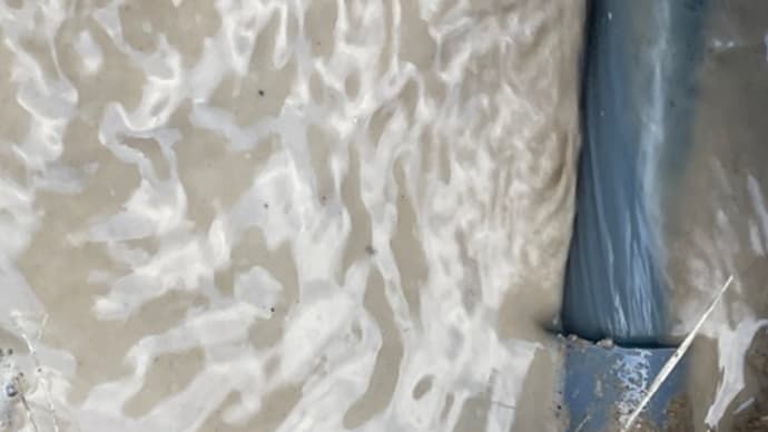 庭で漏水