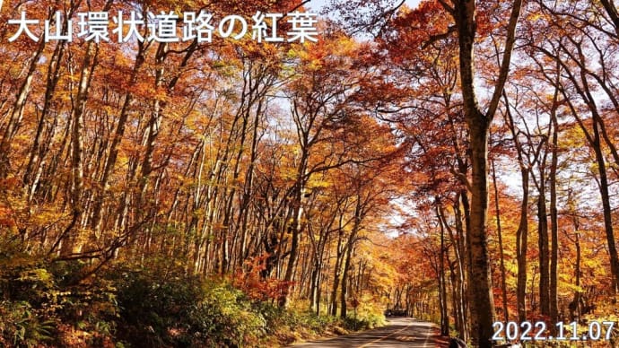 大山環状道路の紅葉 11月7日撮影分