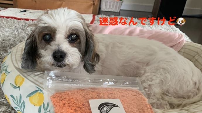 レンズ豆のスープ。