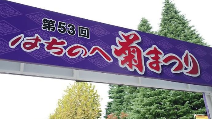 菊の花、見頃~菊まつりと菊花展