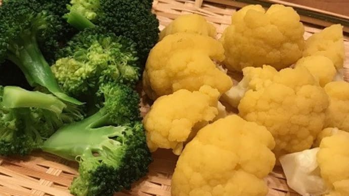 Hilo’s Farm オレンジ色のカリフラワーを収穫した&少子化について