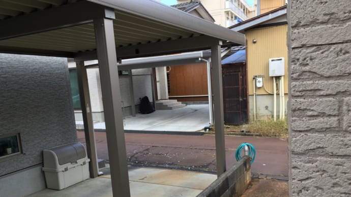 朝から大騒ぎ