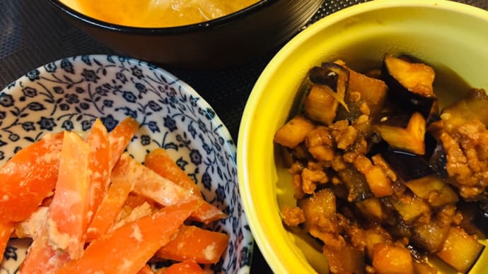 片付けそうざい