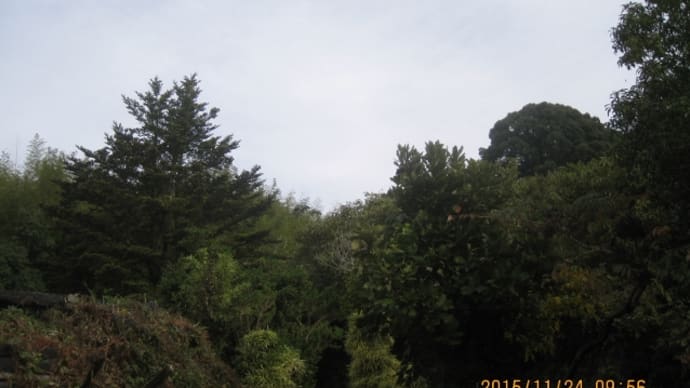 忙しくても、ちょこっとでも里山に! (^^)!