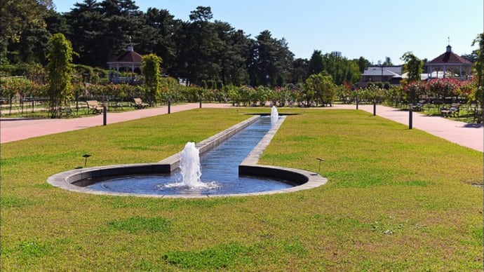 敷島公園ばら園(Ⅱ)