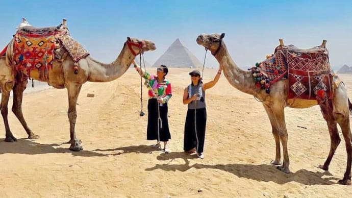 前副大統領のエジプト旅行