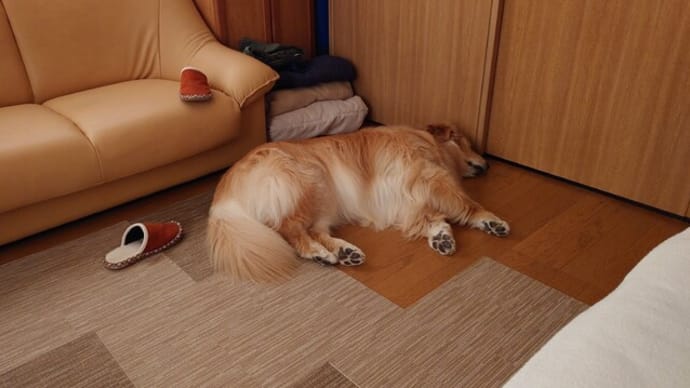 1個では物足りない