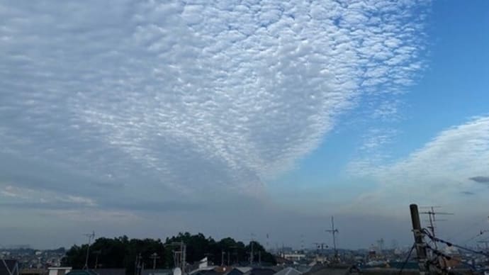 屋上菜園2023-10秋の空