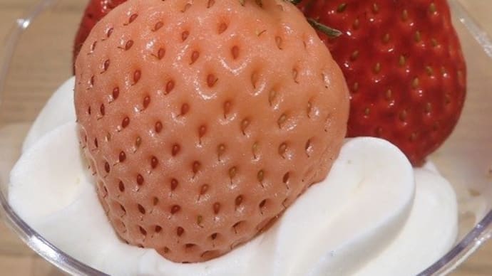 【閉店】銀座 千年こうじや　　‘créam fraise génoise×八海山　旬のフルーツのカップケーキ’