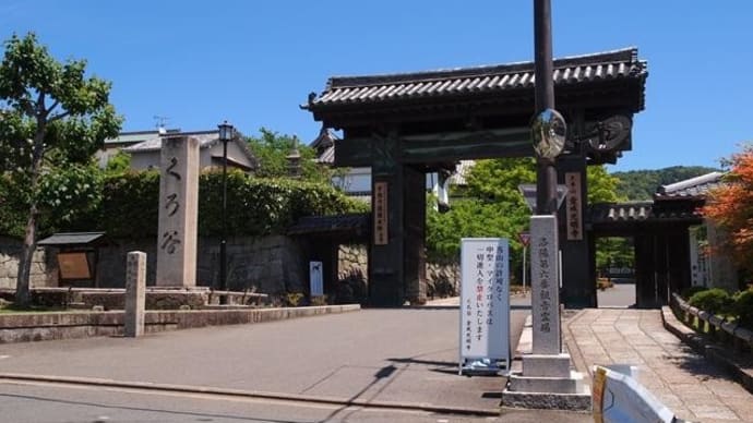 京都　青モミジ100シリーズの法然上人の金戒光明寺