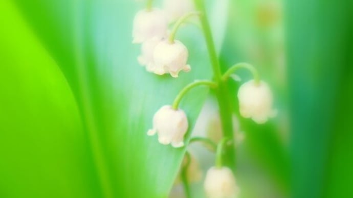 毎日が~っ!!