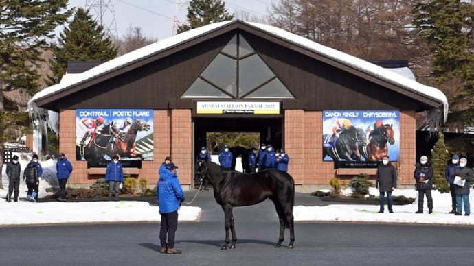 【種牡馬展示会(Stallion Parade)】の「2023年度日程」について