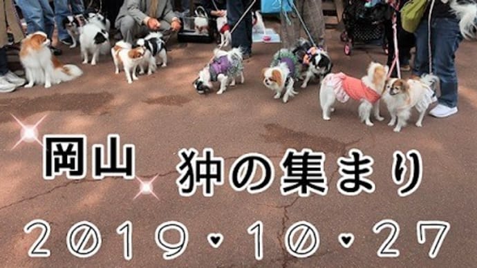 17狆1ラブ 岡山狆の集まり・池田動物園~♪